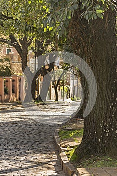 Cobblestone Street in San Isidro Buenos Aires photo