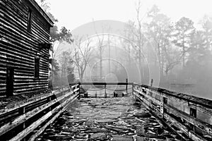 Cobblestone walk with foggy sky, Yates Mill Pond Raleigh NC