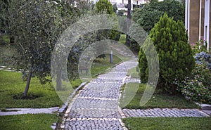 Cobblestone walk in the garden in summer.