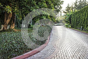 Cobblestone walk in the garden in summer.