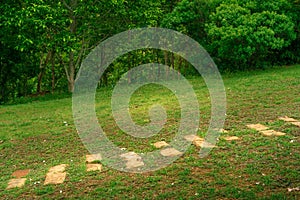 Cobblestone walkway in grass field and forest