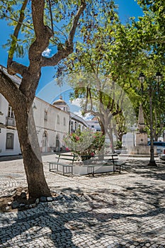 Cobblestone yard with trees and old Côrro fountain, Serpa - Alentejo PORTUGAL
