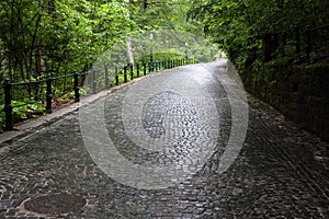 Cobblestoned alley in the forest photo