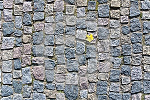 Cobblestones