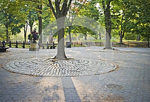 Cobblestones Central Park photo
