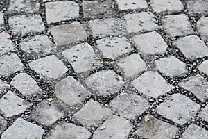 Cobblestones freshly laid and close up