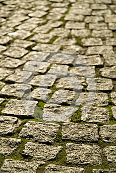 Cobblestones with moss