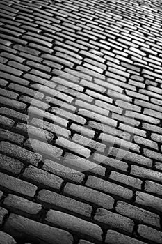 Cobbly pavement perspective texture