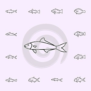 cobia icon. Fish icons universal set for web and mobile