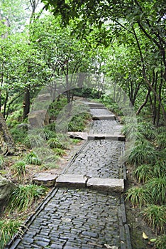 Coble stone Path