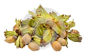 Cobnuts Isolated On White