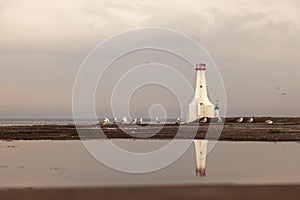 Cobourg East Pierhead Lighthouse by Lake Ontario photo