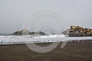 Cobquecura Coast, Chile photo