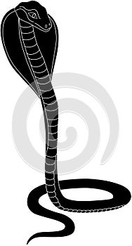 Cobra