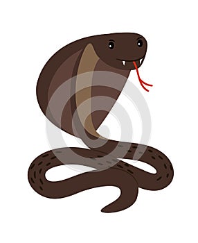 Cobra. Brown poisonous cobra snake attack position vector illustration on white