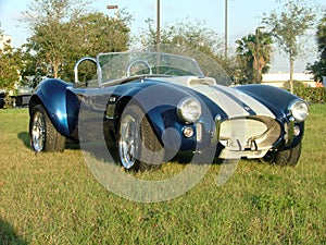 Cobra Car - Classic