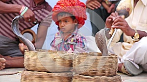 Cobra enchanter, snake charming