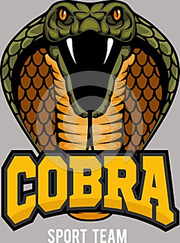 cobra mascot Vector illustration DOWNLOAD