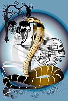 Cobra and skull
