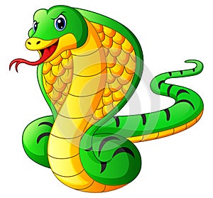 Cobra snake cartoon