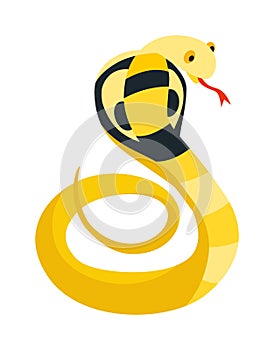 Cobra Snake coiled and ready to strike showing fangs tongue danger reptile animal wildlife cartoon vector.