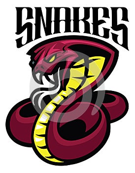Cobra snake mascot photo