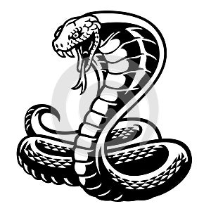 Cobra snake tattoo style in black and white photo