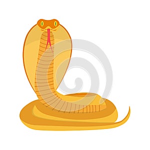 Cobra Snake vector illustration.