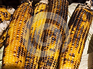 Cobs of corn