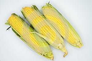 cobs of yellow corn on a white background