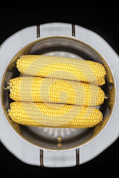 cobs of yellow corn on a white background