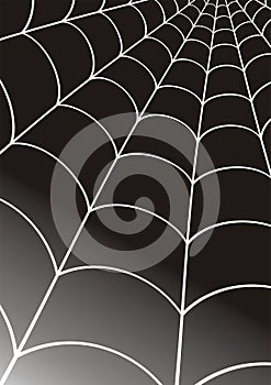 Cobweb photo