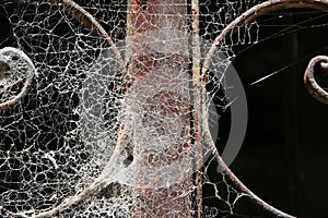 Cobweb