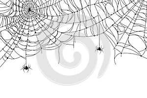 Cobweb background. Scary spider web with spooky spider, creepy arthropod halloween decor, net texture tattoo design