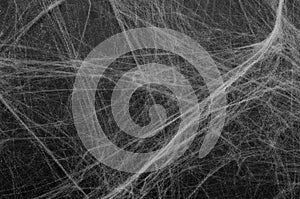 Cobweb on Black Background, Abstract Texture, Halloween Design, Spider Web Texture