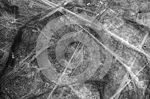 Cobweb on Black Background, Abstract Texture, Halloween Design, Spider Web Texture