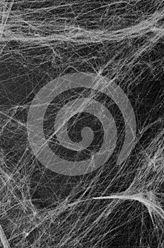 Cobweb on Black Background, Abstract Texture, Halloween Design, Spider Web Texture