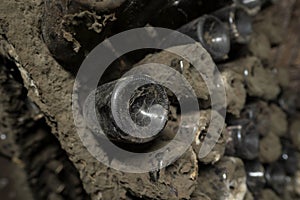 Cobweb detail on wine bottle in winery cellar