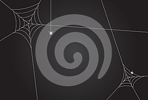 Cobweb, isolated on black, transparent background.Scary spider web vector illustration. White cobweb silhouette isolated on dark b