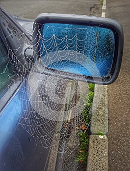 Cobweb