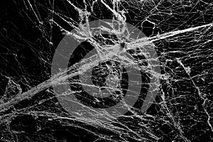 cobweb spider texture on black background, trap danger
