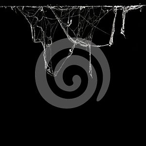 cobweb or spider web in ancient thai house isolated on black background