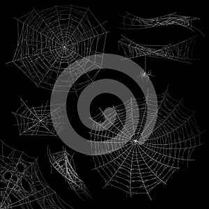 Cobweb. Spider web halloween decor elements, gossamer trap. Spooky fearful and horror silhouettes for tattoo realistic photo