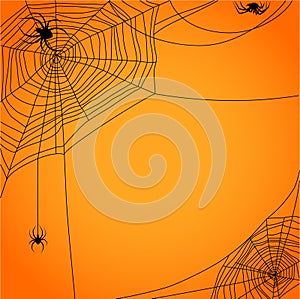 Cobweb with spiders