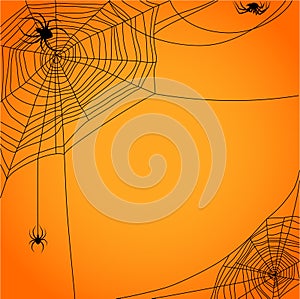 Cobweb with spiders photo