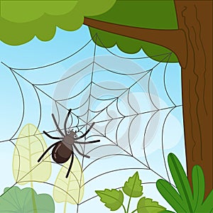 Cobweb on a tree. Landscape