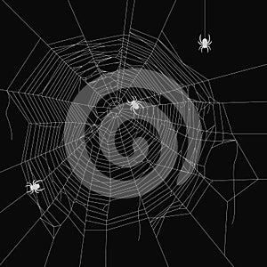 Cobweb vector decorative element. Crawling spider. Spiderweb object on isolated background.