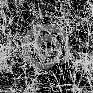 Cobweb of white thread on a black background