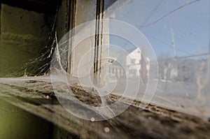 Cobwebs on window