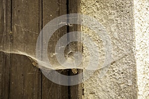 Cobwebs on wooden door